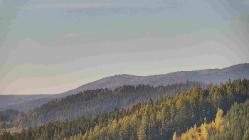 Ski areál U Sachovy studánky