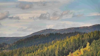 Ski areál U Sachovy studánky