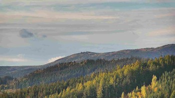 Ski areál U Sachovy studánky