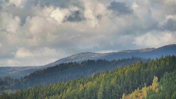 Ski areál U Sachovy studánky