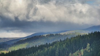Ski areál U Sachovy studánky