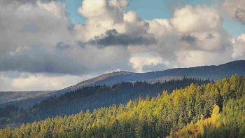 Ski areál U Sachovy studánky