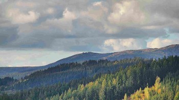 Ski areál U Sachovy studánky