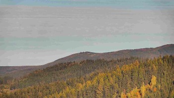 Ski areál U Sachovy studánky