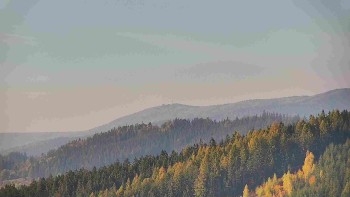 Ski areál U Sachovy studánky