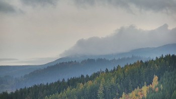 Ski areál U Sachovy studánky