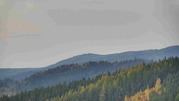 Ski areál U Sachovy studánky