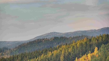 Ski areál U Sachovy studánky