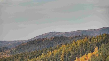 Ski areál U Sachovy studánky