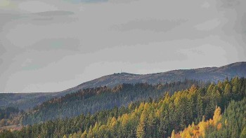 Ski areál U Sachovy studánky