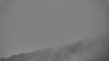Ski areál U Sachovy studánky