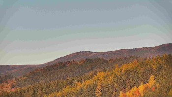 Ski areál U Sachovy studánky