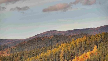 Ski areál U Sachovy studánky