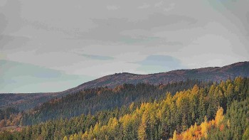 Ski areál U Sachovy studánky