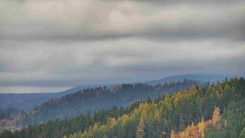 Ski areál U Sachovy studánky