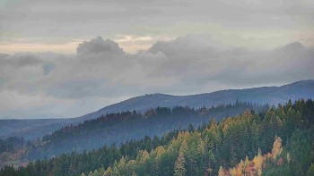 Ski areál U Sachovy studánky