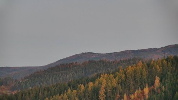Ski areál U Sachovy studánky