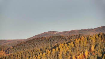 Ski areál U Sachovy studánky