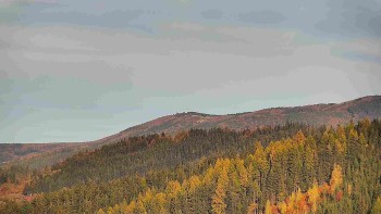 Ski areál U Sachovy studánky