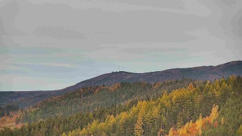 Ski areál U Sachovy studánky