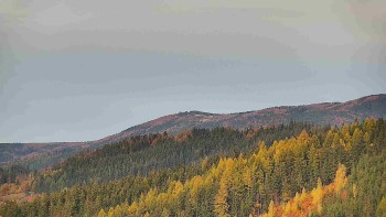 Ski areál U Sachovy studánky