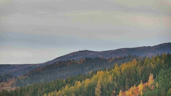 Ski areál U Sachovy studánky