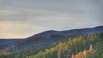 Ski areál U Sachovy studánky