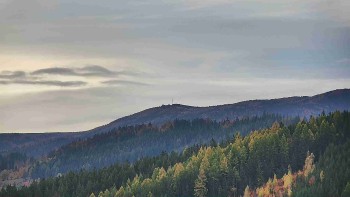 Ski areál U Sachovy studánky
