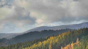 Ski areál U Sachovy studánky