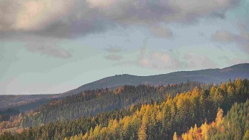 Ski areál U Sachovy studánky