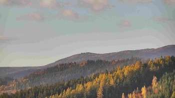 Ski areál U Sachovy studánky
