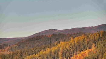 Ski areál U Sachovy studánky