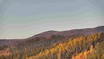 Ski areál U Sachovy studánky