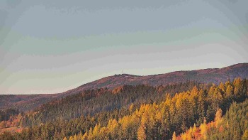 Ski areál U Sachovy studánky