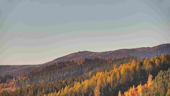Ski areál U Sachovy studánky