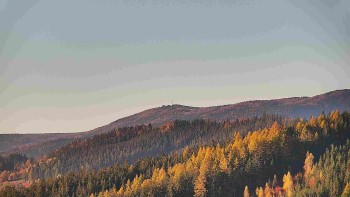 Ski areál U Sachovy studánky