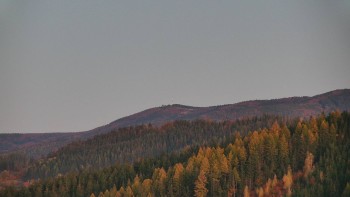 Ski areál U Sachovy studánky