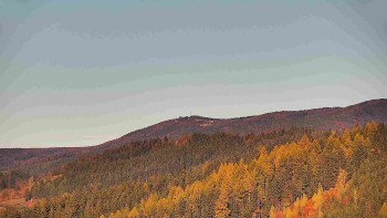 Ski areál U Sachovy studánky