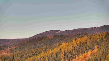 Ski areál U Sachovy studánky