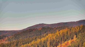 Ski areál U Sachovy studánky