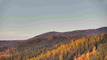 Ski areál U Sachovy studánky