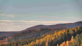 Ski areál U Sachovy studánky