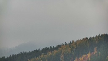 Ski areál U Sachovy studánky