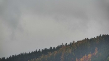 Ski areál U Sachovy studánky