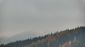 Ski areál U Sachovy studánky