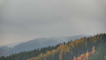 Ski areál U Sachovy studánky
