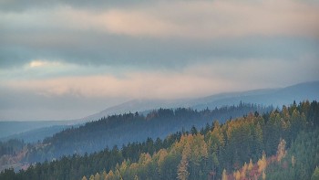 Ski areál U Sachovy studánky
