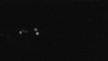 Snímek    17.9.2025 v 22:01