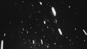 Ski areál U Sachovy studánky - Sachova studánka - 18.2.2026 v 06:01 Ski areál U Sachovy studánky - Sachova studánka - 18.2.2026 v 06:01