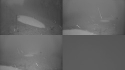 Ski areál u Sachovy studánky